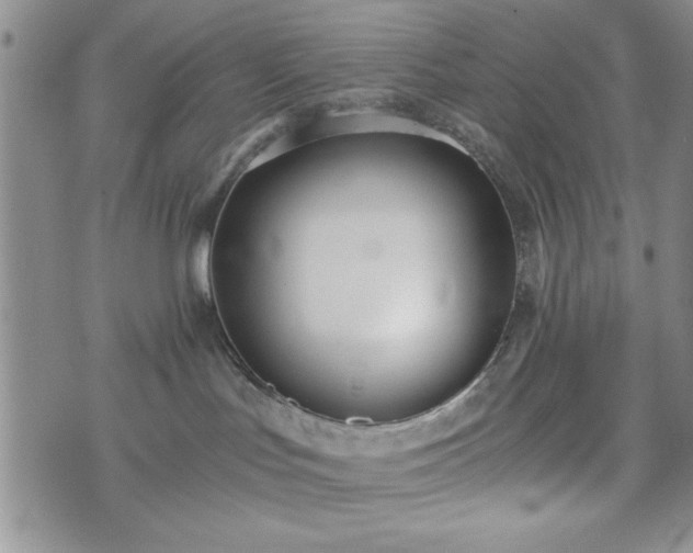 X0000073450047200608041038