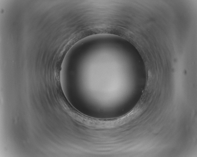 X0000073450048200608041038