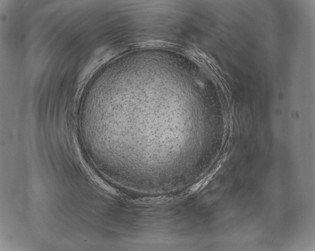 X0000073450049200608041038