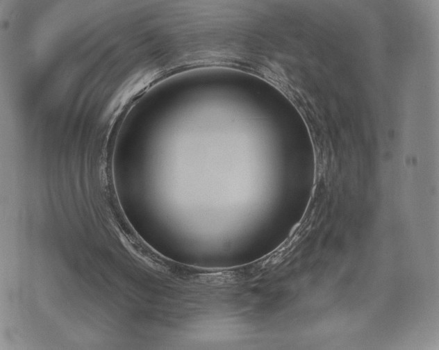 X0000073450050200608041038