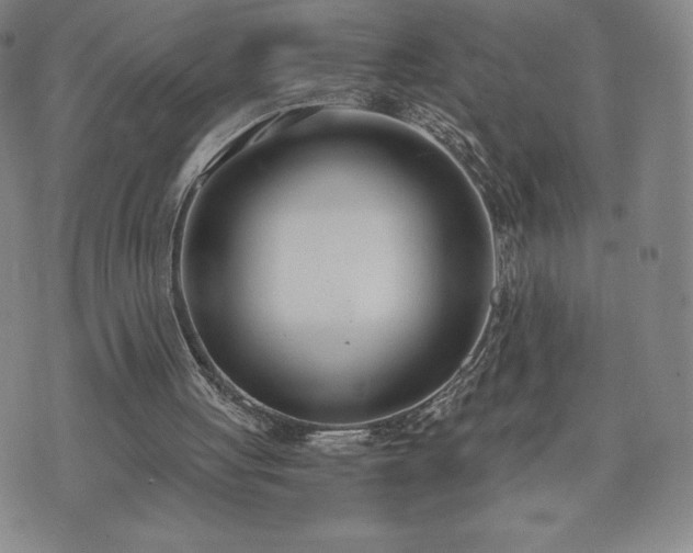 X0000073450051200608041038