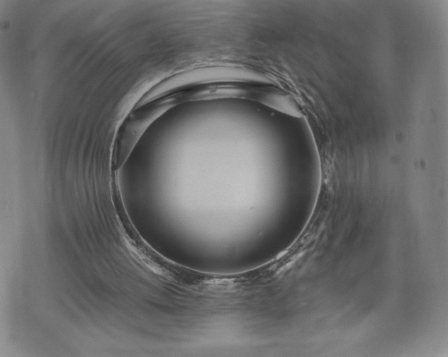 X0000073450052200608041038