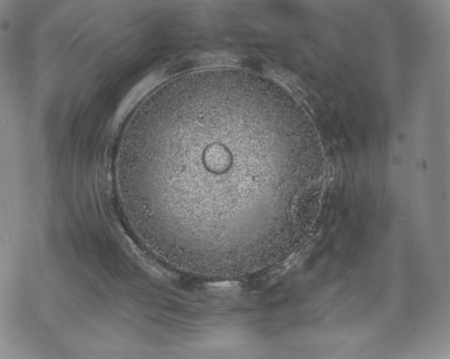 X0000073450053200608041038