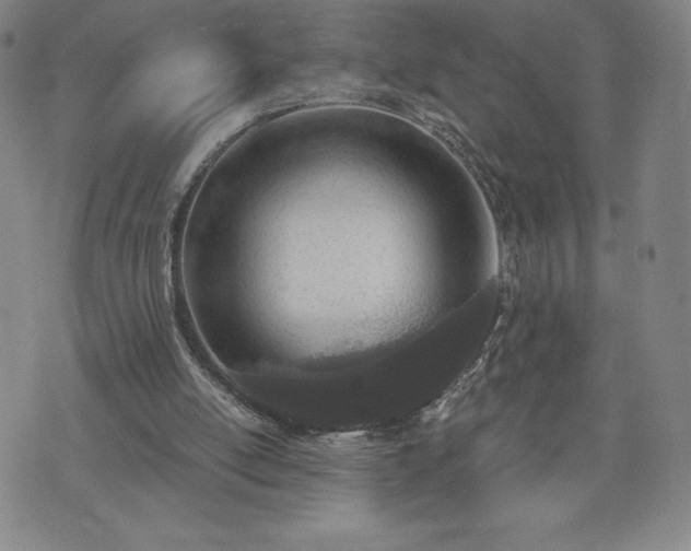 X0000073450054200608041038