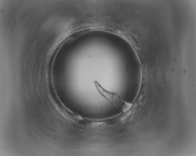 X0000073450055200608041038