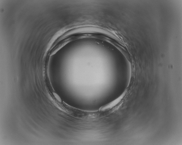 X0000073450056200608041038