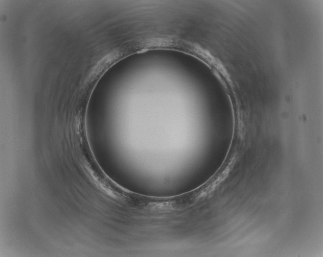 X0000073450057200608041038