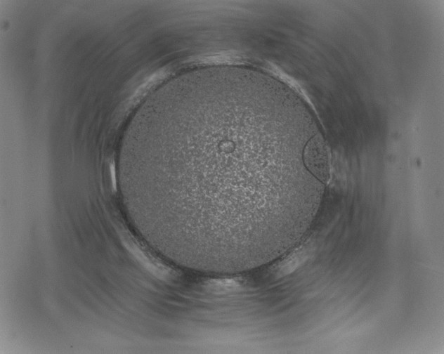 X0000073450061200608041038