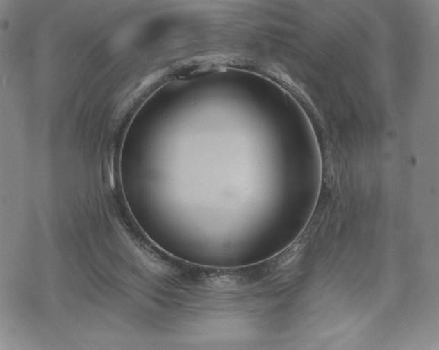 X0000073450062200608041038