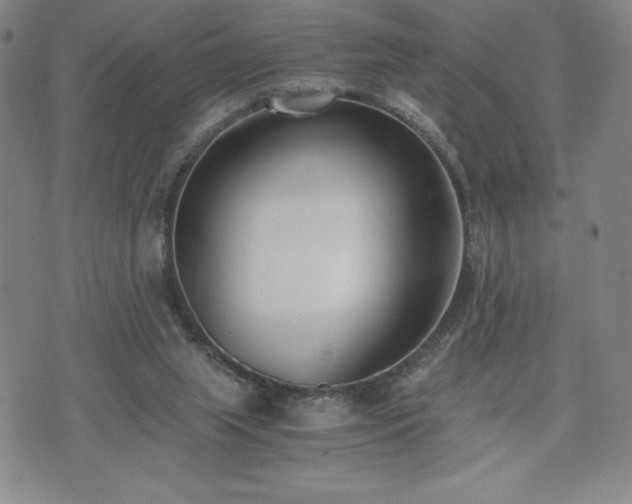 X0000073450063200608041038