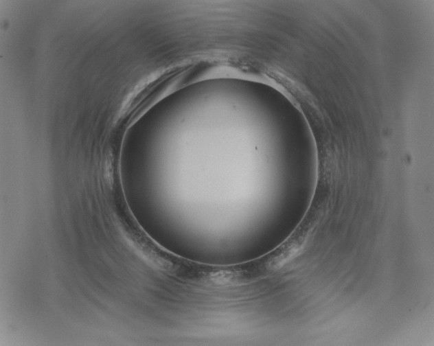 X0000073450064200608041038