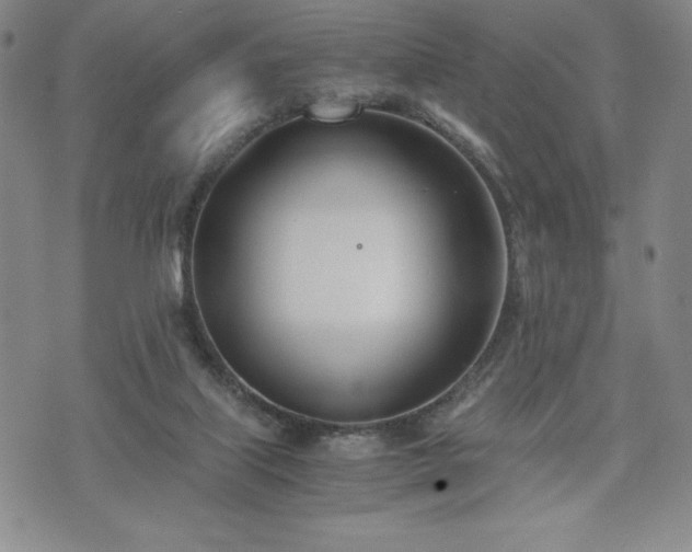 X0000073450067200608041038