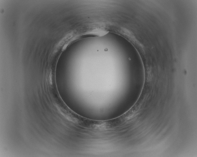 X0000073450068200608041038