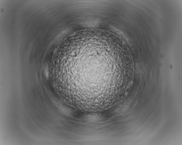 X0000073450069200608041038