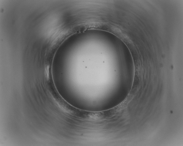 X0000073450070200608041038