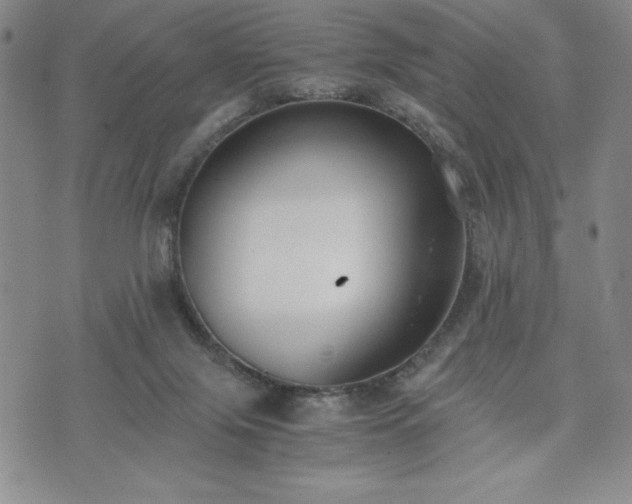 X0000073450071200608041038