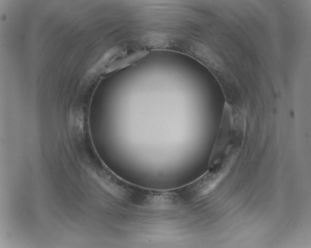 X0000073450072200608041038