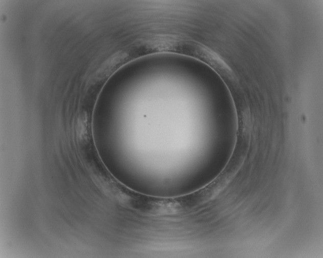 X0000073450073200608041038