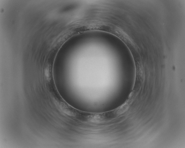 X0000073450074200608041038