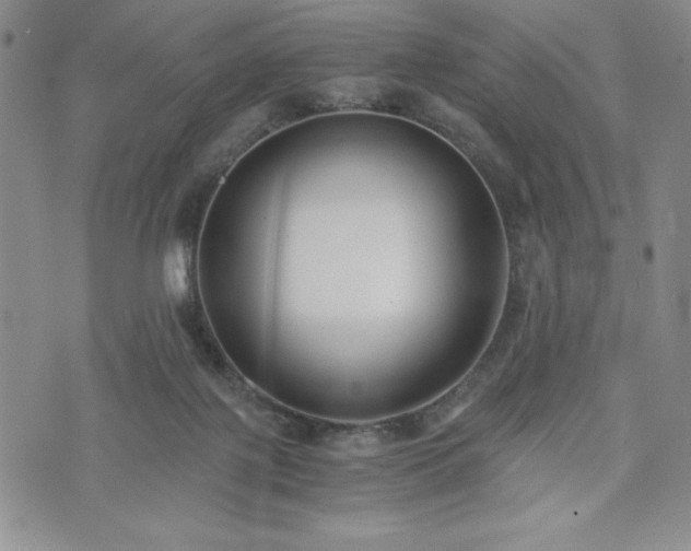 X0000073450075200608041038