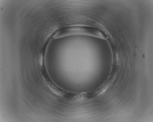 X0000073450076200608041038