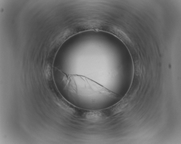 X0000073450077200608041038