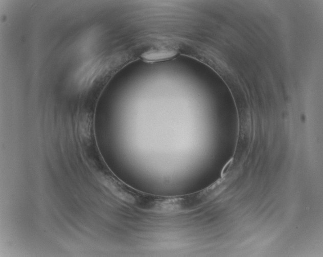 X0000073450078200608041038