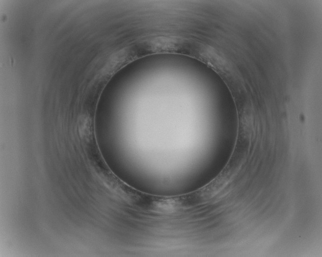 X0000073450079200608041038