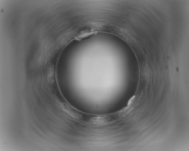 X0000073450082200608041038