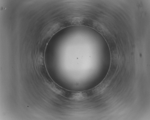 X0000073450083200608041038