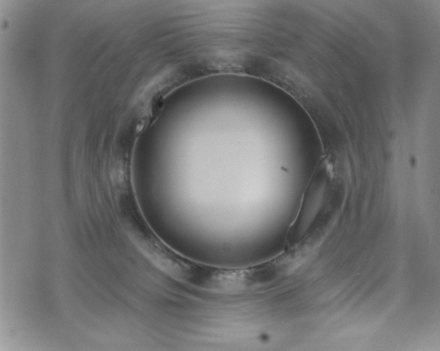 X0000073450084200608041038