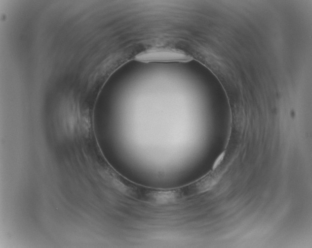 X0000073450085200608041038