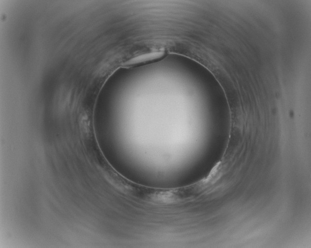 X0000073450086200608041038