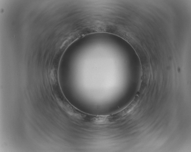 X0000073450088200608041038