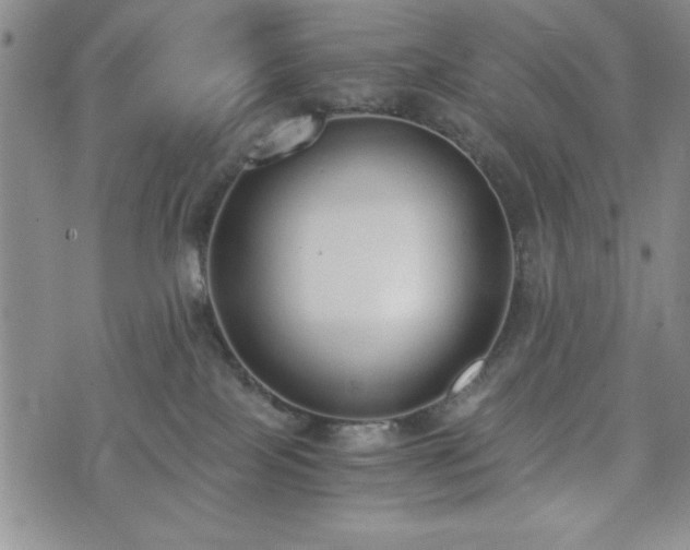 X0000073450089200608041038