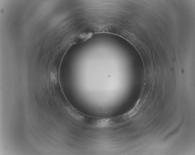 X0000073450090200608041038