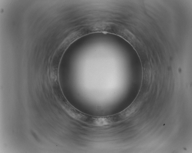 X0000073450091200608041038