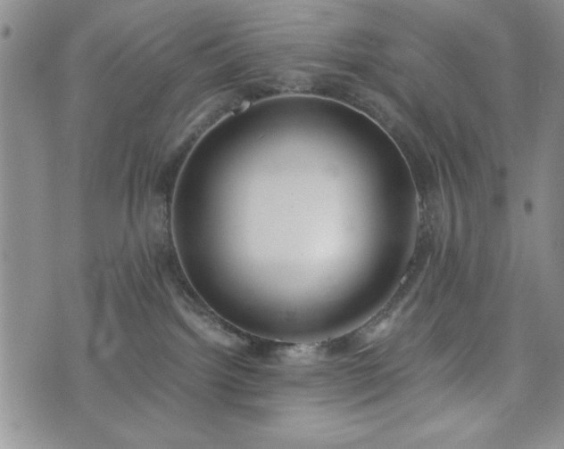 X0000073450092200608041038