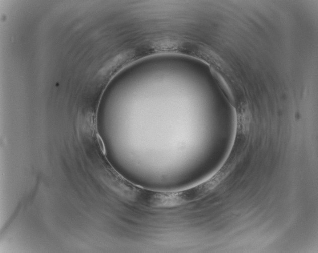 X0000073450093200608041038