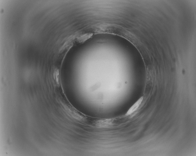 X0000073450094200608041038