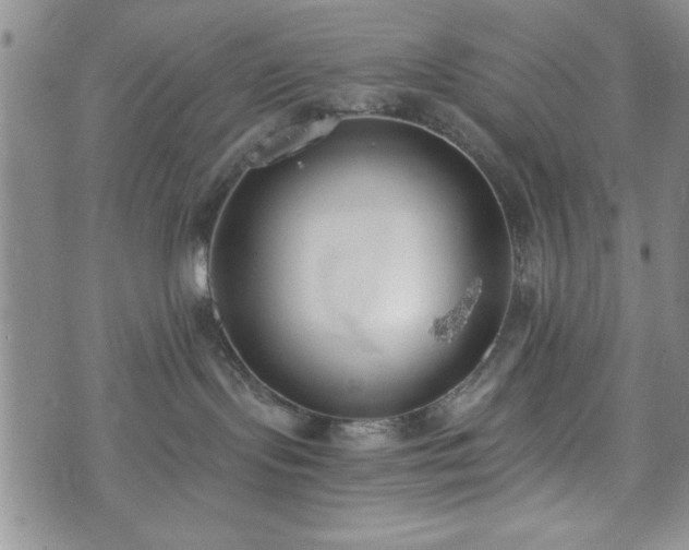 X0000073450095200608041038