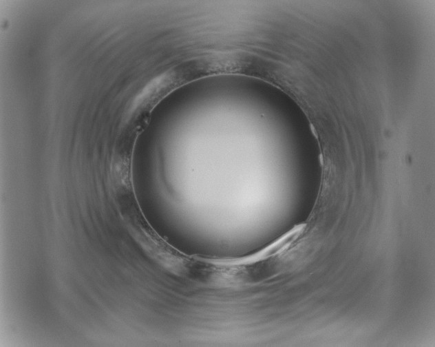 X0000073450096200608041038