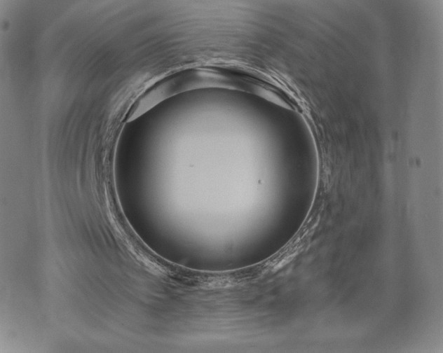 X0000073450097200608041038