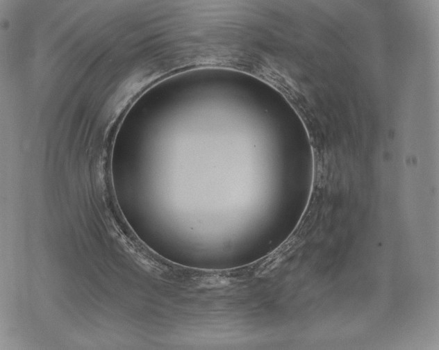 X0000073450098200608041038