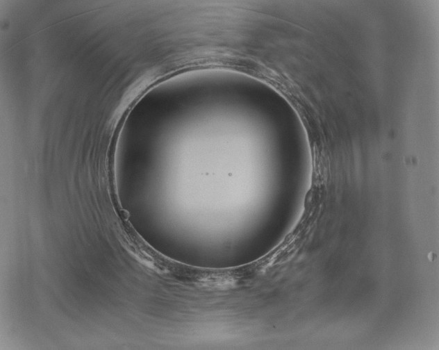 X0000073450099200608041038