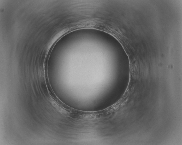 X0000073450100200608041038