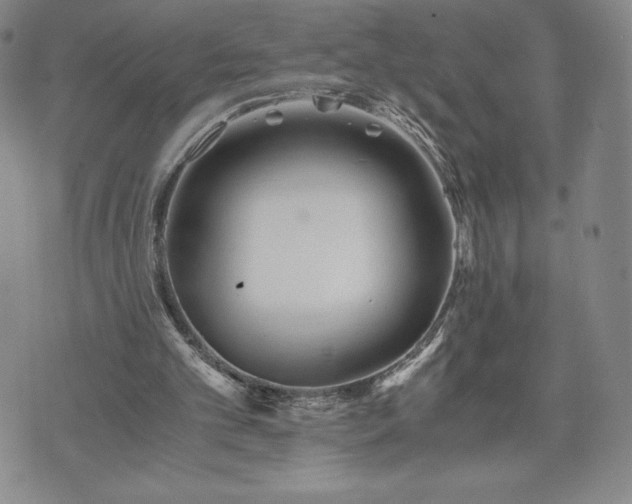 X0000073450101200608041038