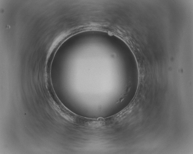 X0000073450102200608041038