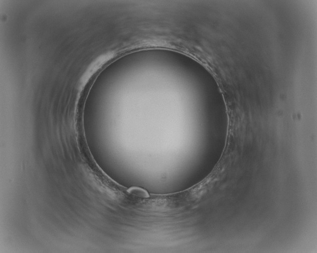 X0000073450104200608041037