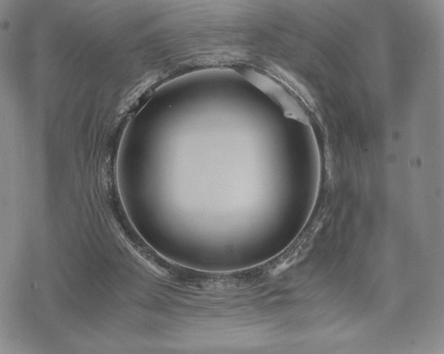 X0000073450105200608041037